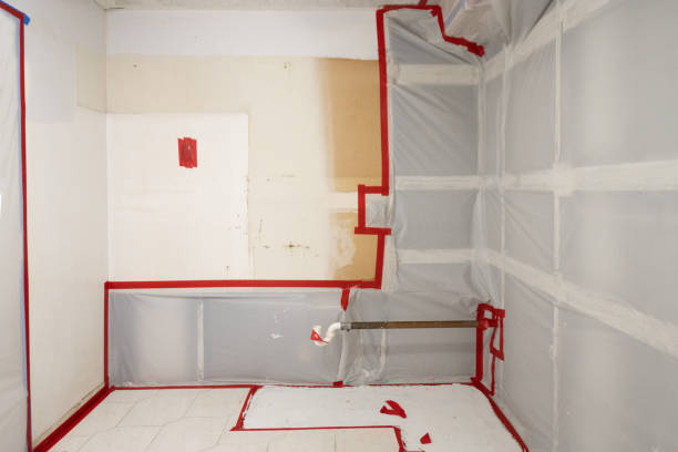 Best Black Mold Removal  in Roscoe, TX