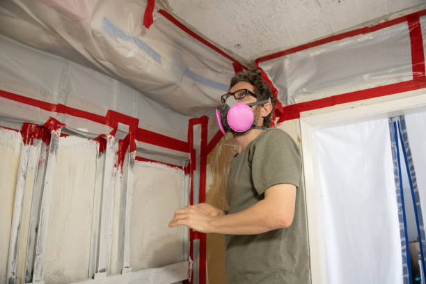 Best Industrial Mold Remediation  in Roscoe, TX